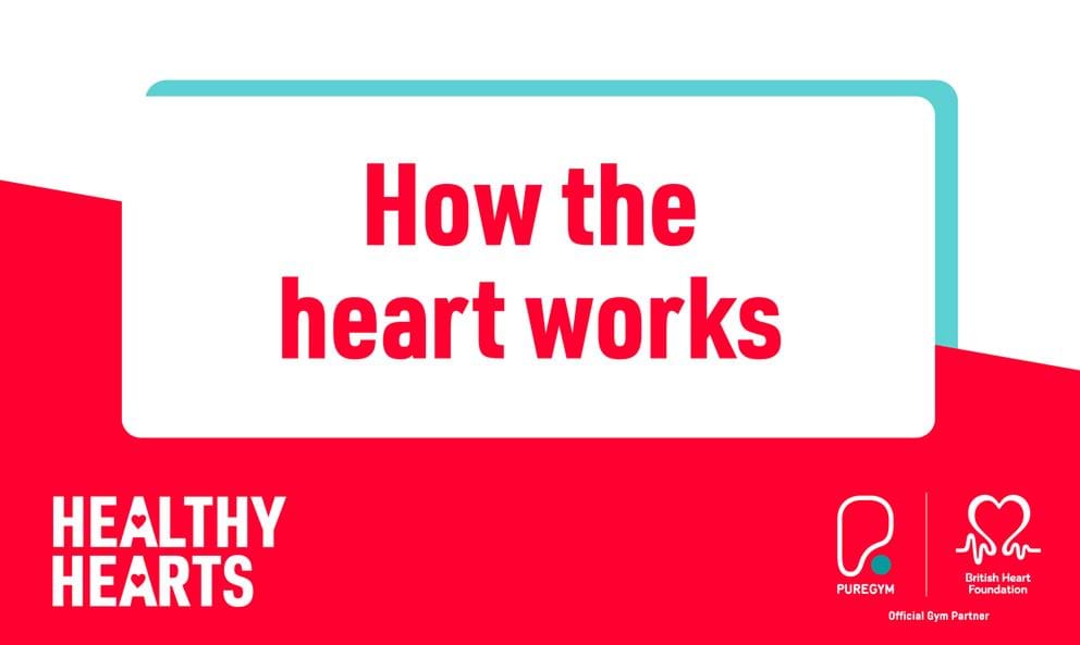 How the Heart Works - Heart Foundation
