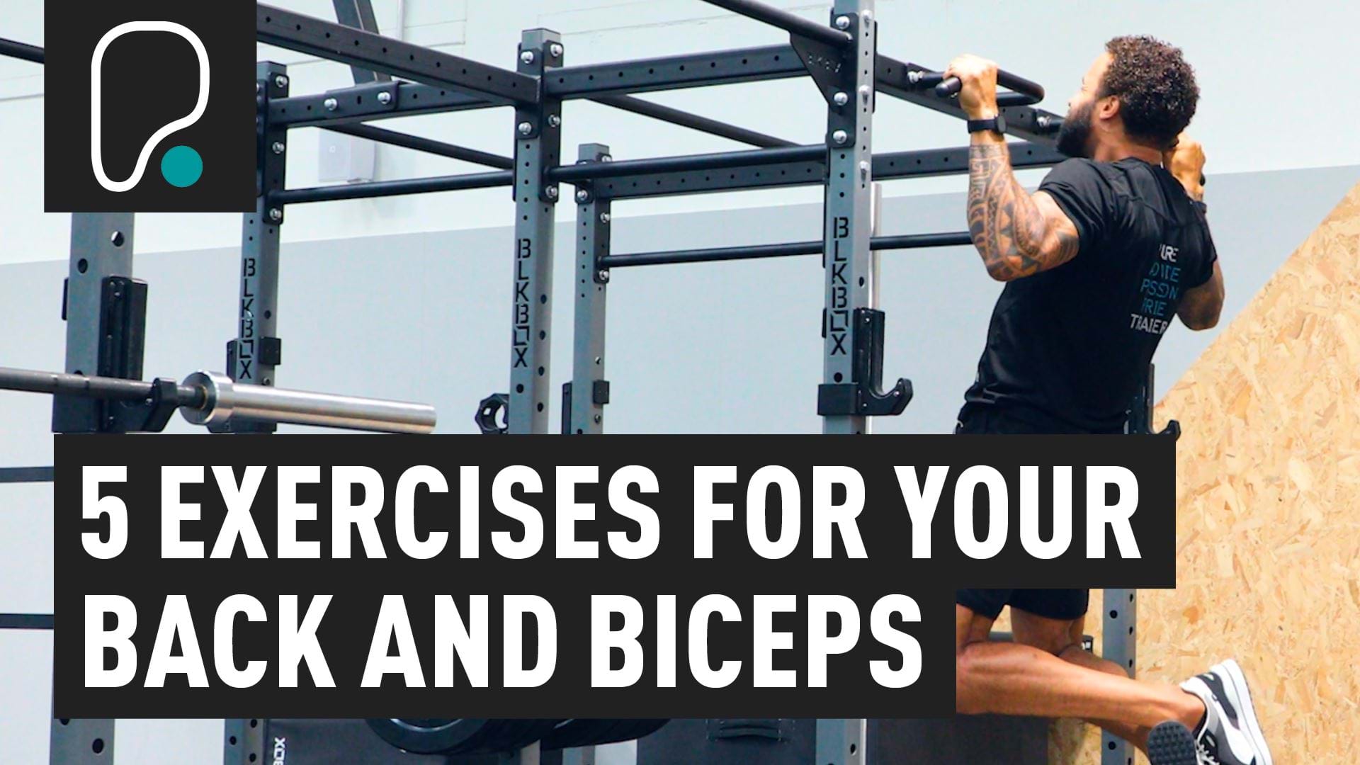 Back and bicep workout guide: how to structure yours