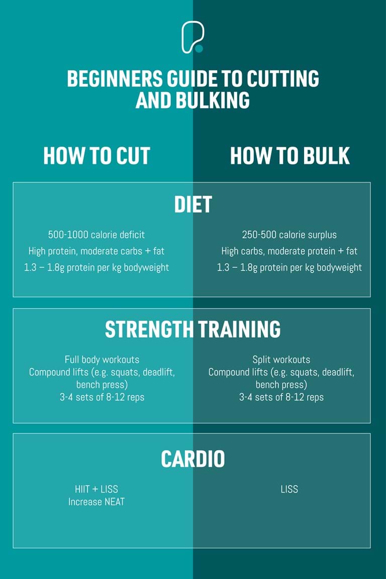 A Beginners Guide to Bulking and Cutting