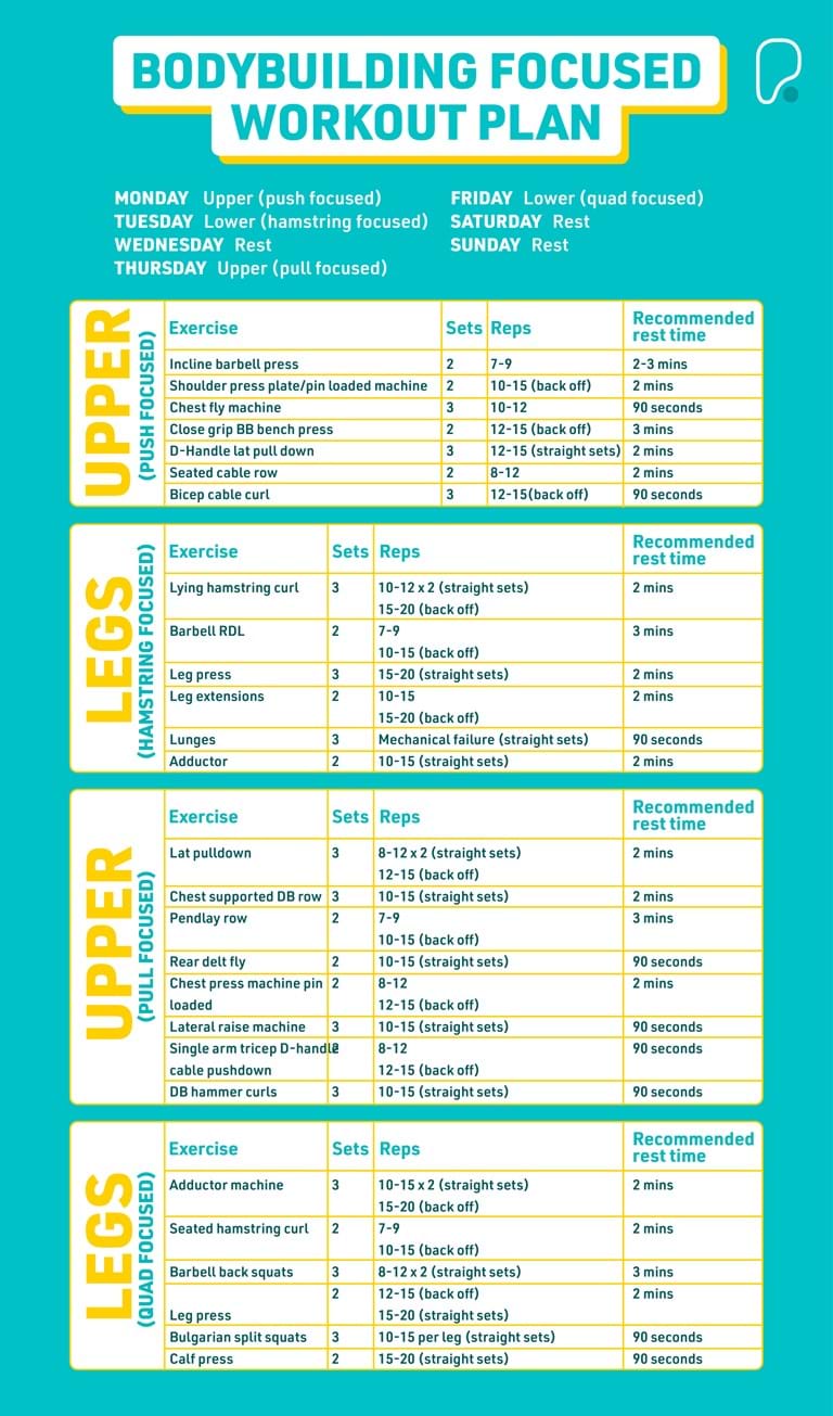 workout chart for bodybuilding